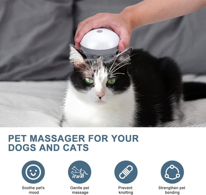Masajeador Eléctrico Usb Pets