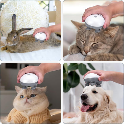 Masajeador Eléctrico Usb Pets